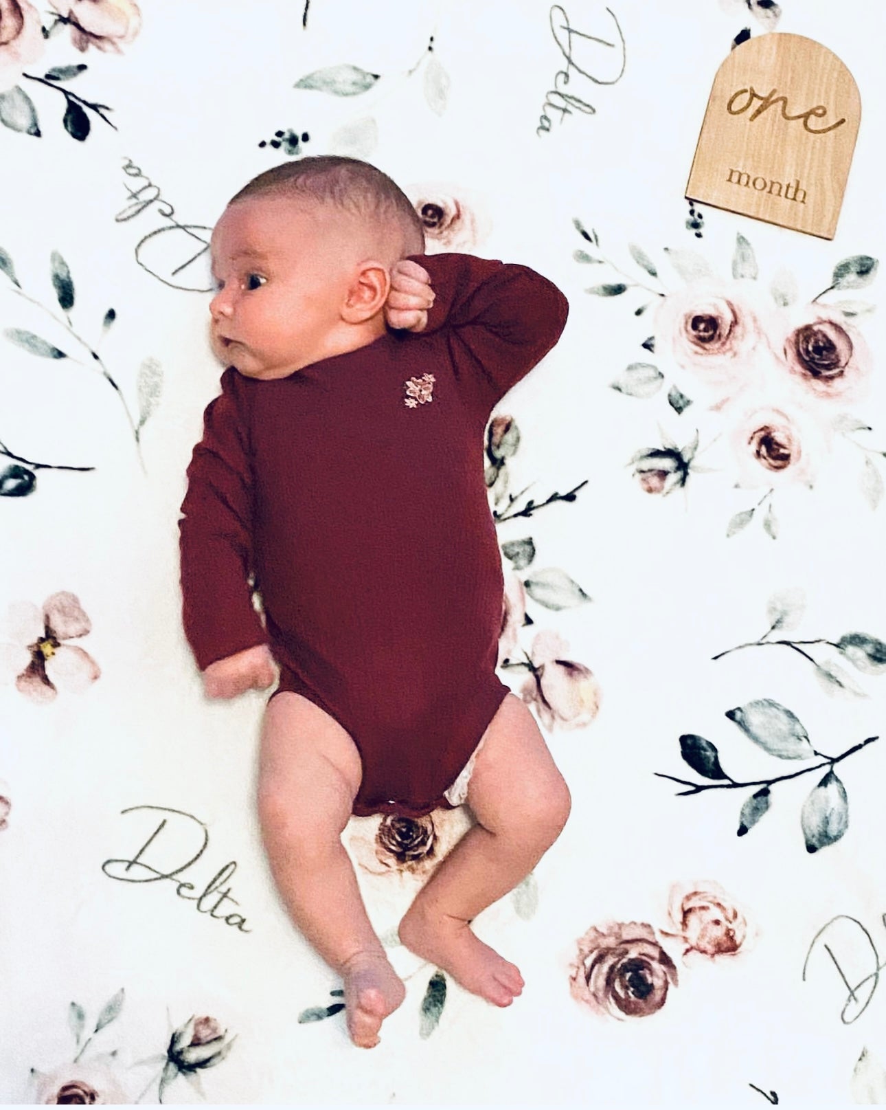 Monthly Milestone Sign Photo Props